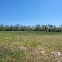 37 AC 14 AC AG FIELDS CATTLE HORSE HOBBY FARM images 5