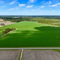 117 acres of Cropland for Sale In Beaufort County NC