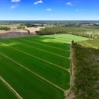 117 acres of Cropland for Sale In Beaufort County NC images 3