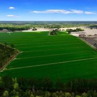 117 acres of Cropland for Sale In Beaufort County NC images 4