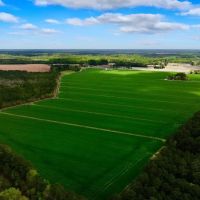 117 acres of Cropland for Sale In Beaufort County NC images 5