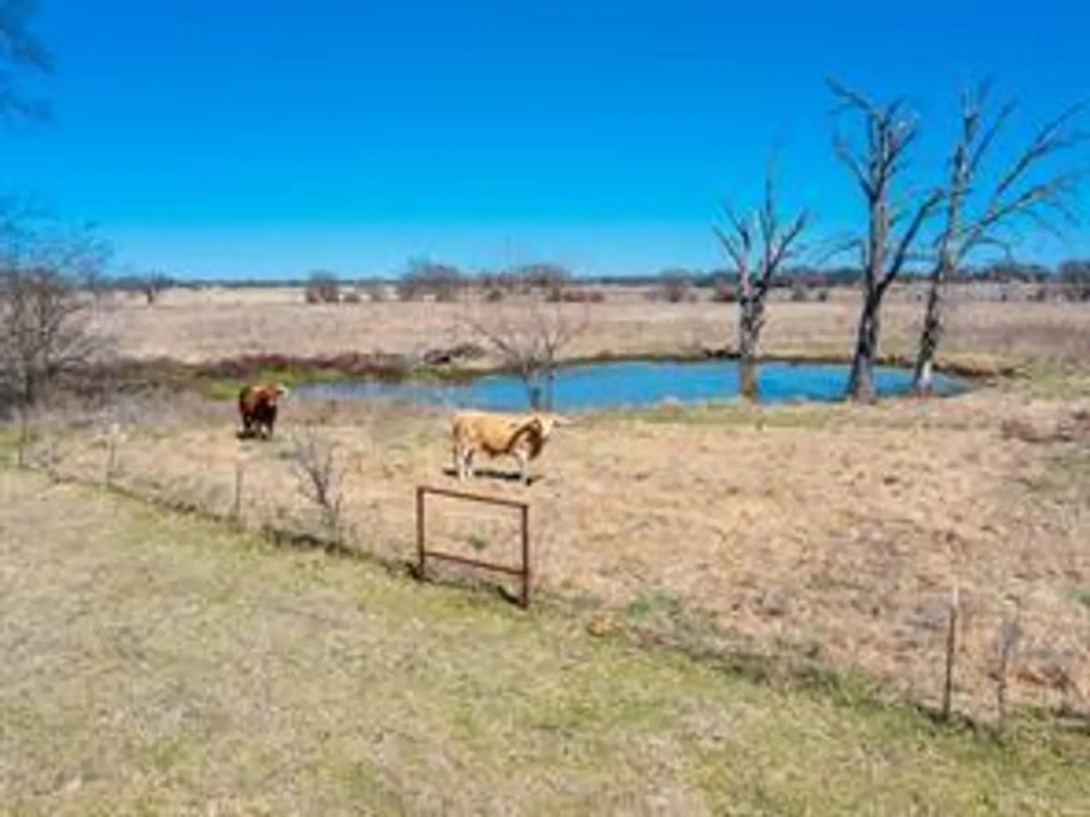 7X RANCH - 114 ACRE IN KEMP TEXAS featured image