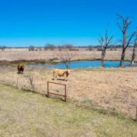 7X RANCH - 114 ACRE IN KEMP TEXAS