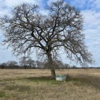 7X RANCH - 114 ACRE IN KEMP TEXAS images 2