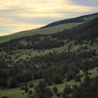 Aspen Creek Ranch images 2