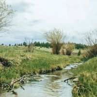 Aspen Creek Ranch images 5