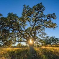 Kerr County Lazy Valley Ranch North NW of Comfort images 4