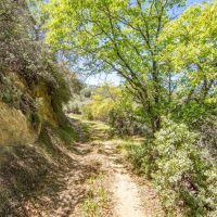 Bobcat Trail Getaway images 5