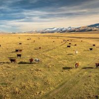 Elk Meadows Ranch