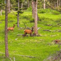 Cinnabar Mountain Ranch images 3