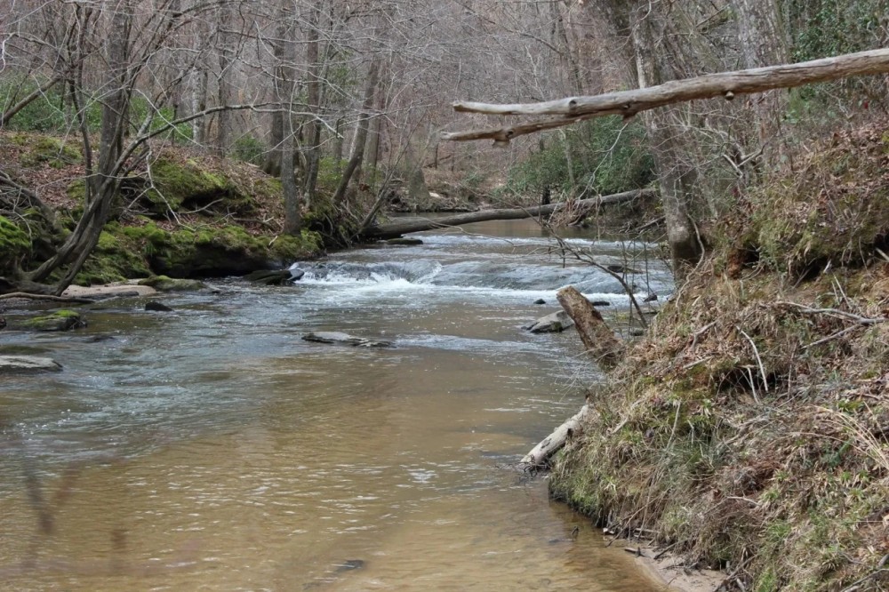 131-Acres of Riverfront Land in Loganville GA for Sale featured image