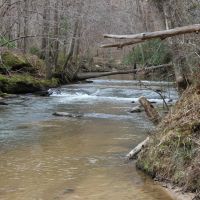 131-Acres of Riverfront Land in Loganville GA for Sale