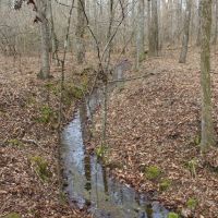 131-Acres of Riverfront Land in Loganville GA for Sale images 2