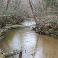131-Acres of Riverfront Land in Loganville GA for Sale images 3