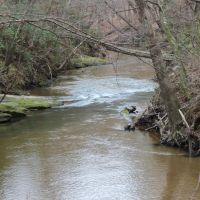 131-Acres of Riverfront Land in Loganville GA for Sale images 4