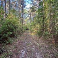 Jackson Parish Timber Tract 3 images 5