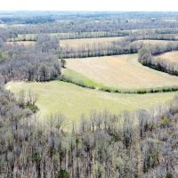 Tishomingo Bear Creek Farm images 3