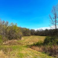 Tishomingo Bear Creek Farm images 4