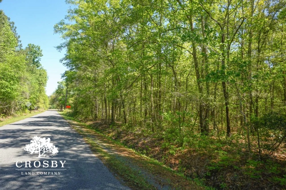 Dopson Road featured image