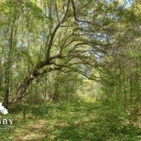 Dopson Road images 4