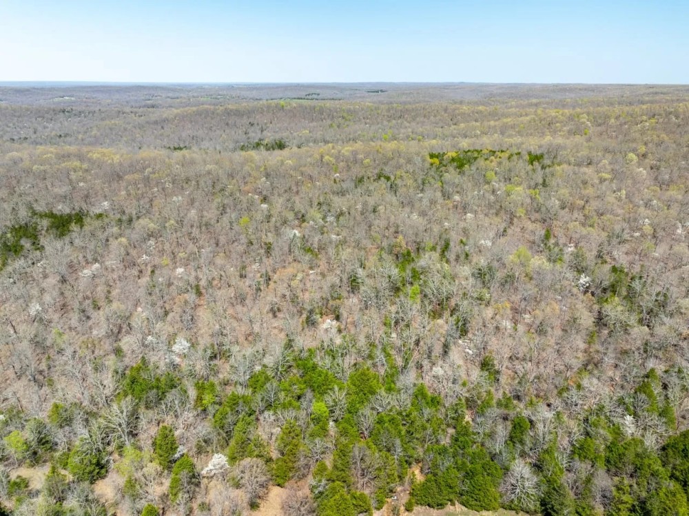 40 - Acres Hunting Land Timberland Hardy Arkansas featured image
