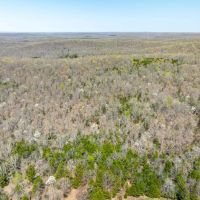 40 - Acres Hunting Land Timberland Hardy Arkansas