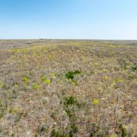 40 - Acres Hunting Land Timberland Hardy Arkansas images 2