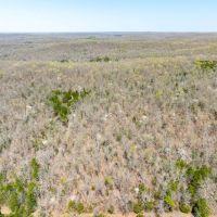 40 - Acres Hunting Land Timberland Hardy Arkansas images 3