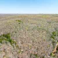 40 - Acres Hunting Land Timberland Hardy Arkansas images 4