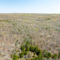 40 - Acres Hunting Land Timberland Hardy Arkansas images 5