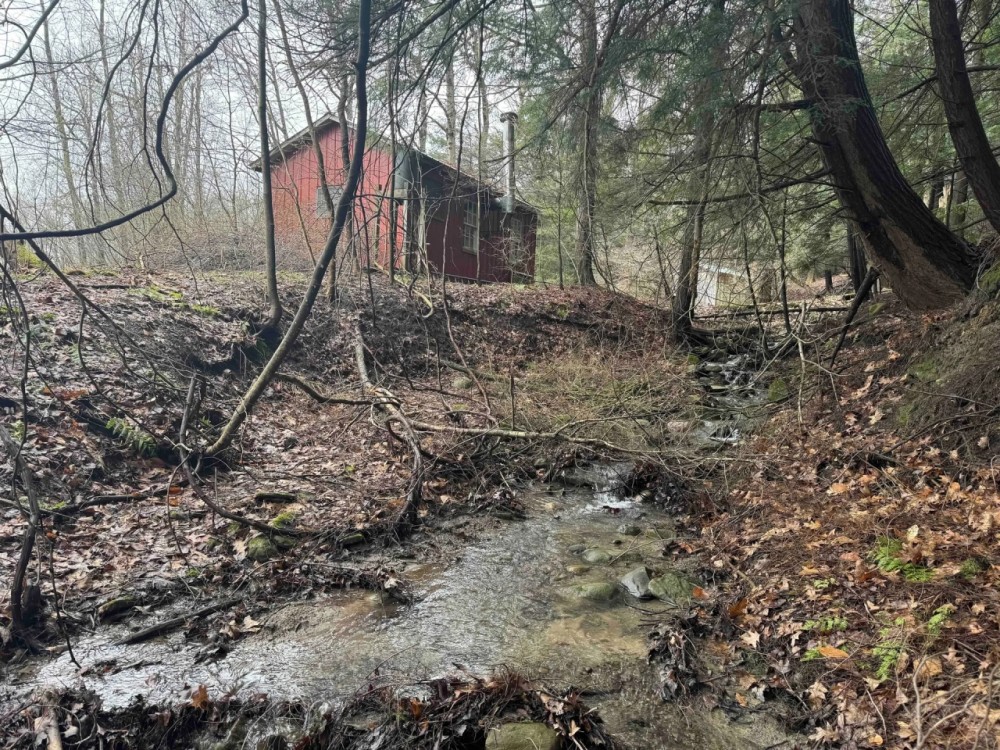 17 acres Cabin and Creek in Cattaraugus NY Lovers Lane Rd featured image