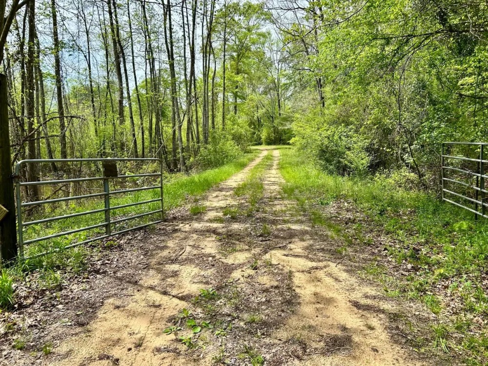 106 - Mcshan Ethelsville in Pickens County Alabama featured image