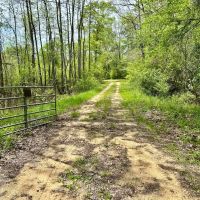 106 - Mcshan Ethelsville in Pickens County Alabama
