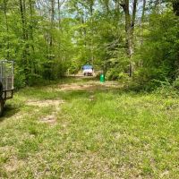 106 - Mcshan Ethelsville in Pickens County Alabama images 5
