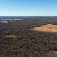 Deep Fork 240 images 5