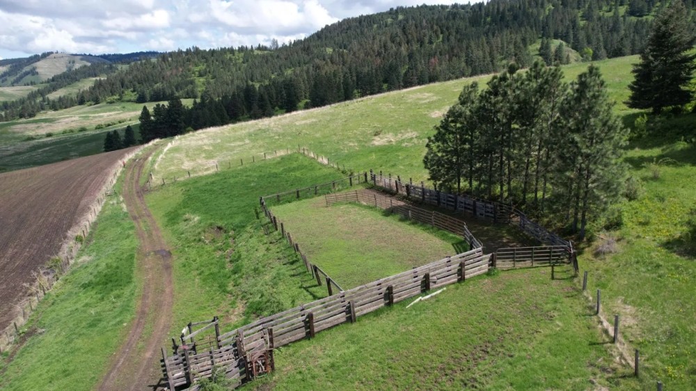 Howerton Spring Ranch featured image