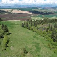 Howerton Spring Ranch images 2