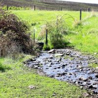 Howerton Spring Ranch images 4