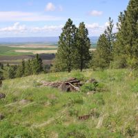 Howerton Spring Ranch images 5