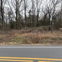 AR - Union 739 acres - images 3