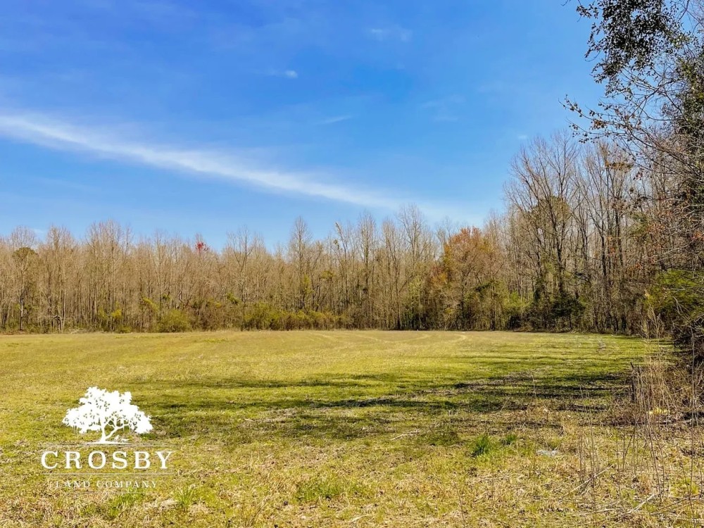 Anderson Tract featured image