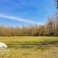 Anderson Tract