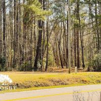 Anderson Tract images 3