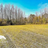Anderson Tract images 4
