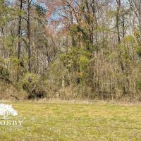 Anderson Tract images 5