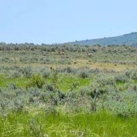 Cow Creek Ranch images 5