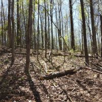 217 Missouri Hill Spur Monticello Kentucky 42633 images 4