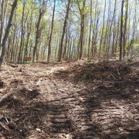217 Missouri Hill Spur Monticello Kentucky 42633 images 5