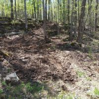 217 Missouri Hill Spur Monticello Kentucky 42633 images 2