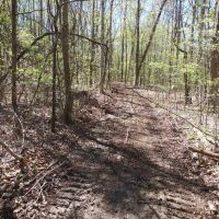 217 Missouri Hill Spur Monticello Kentucky 42633 images 3